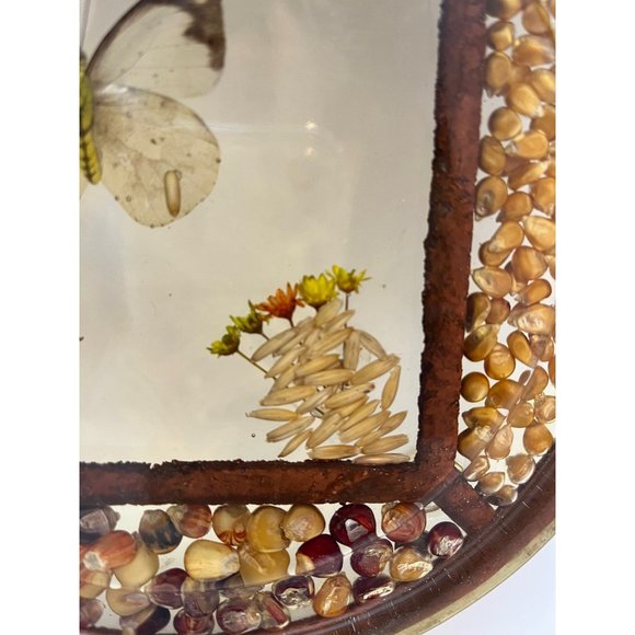 Vintage Pressed Flower Butterfly Seed Bean Corn Round Lucite Hotplate Trivet - Picture 5 of 8